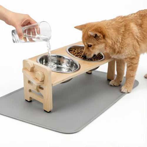Ergonomic Raised Pet Food and Water Station