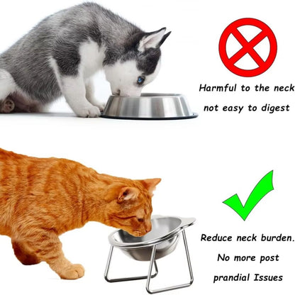 Ergonomic 15° Elevated Stainless Steel Cat Bowl